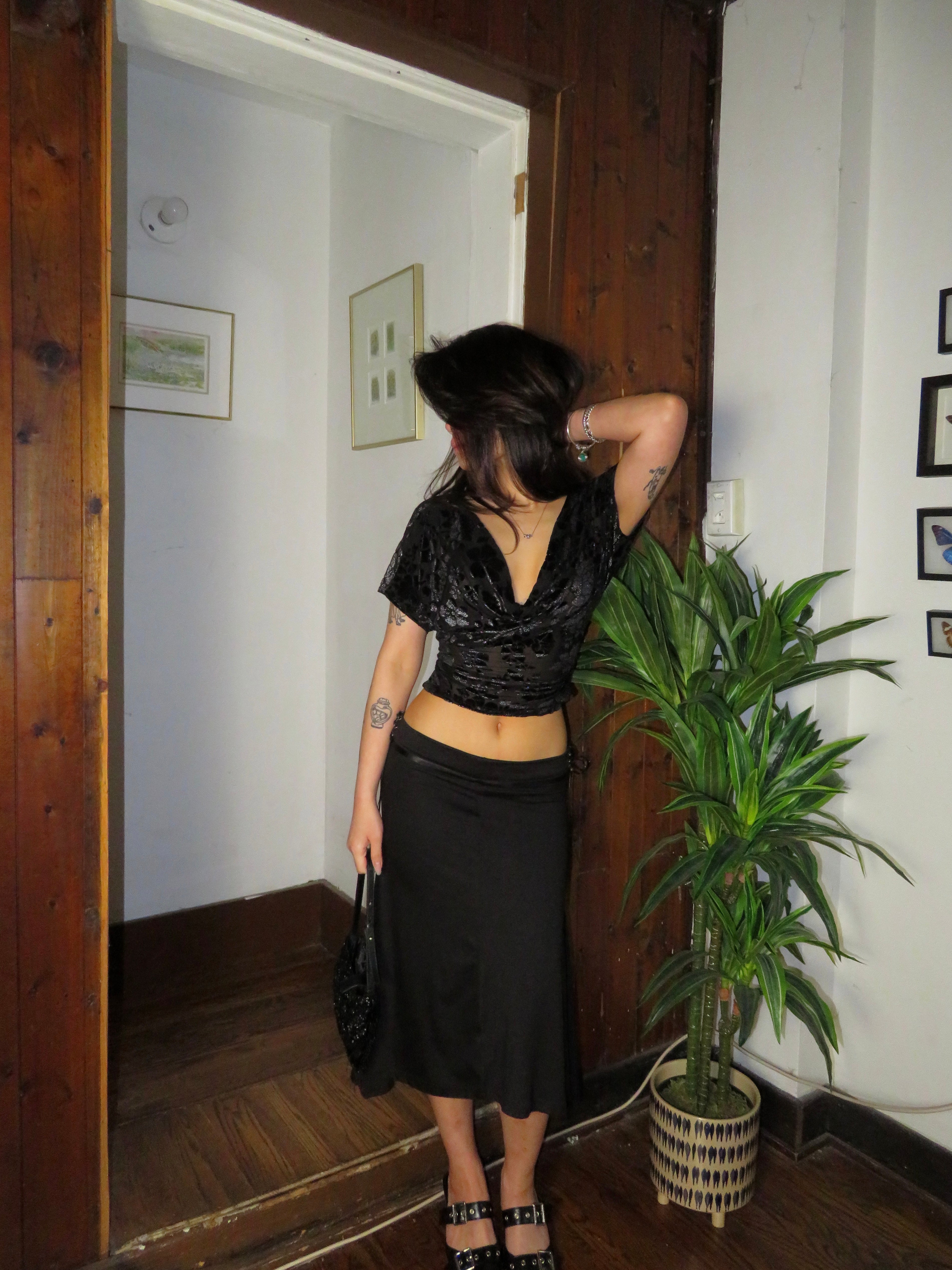Suzy Sheer Velvet Top
