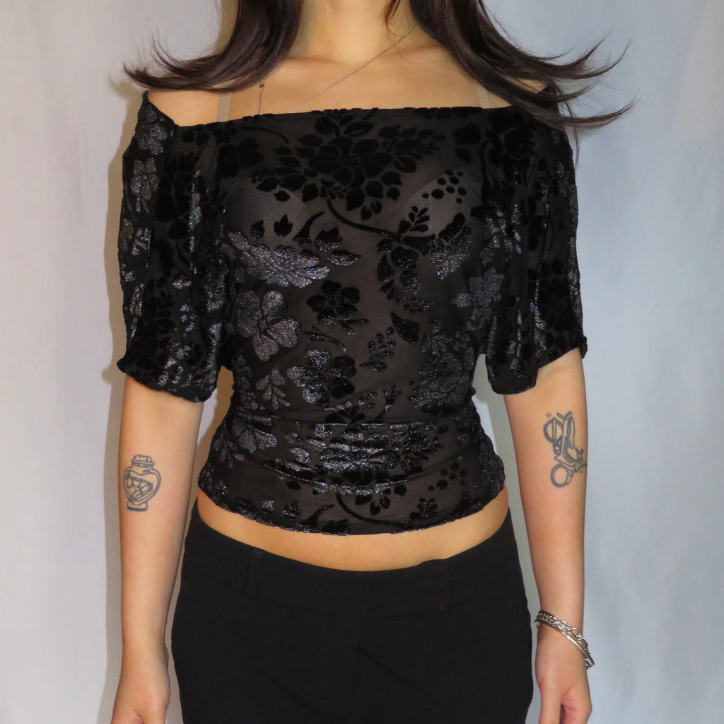 Suzy Sheer Velvet Top