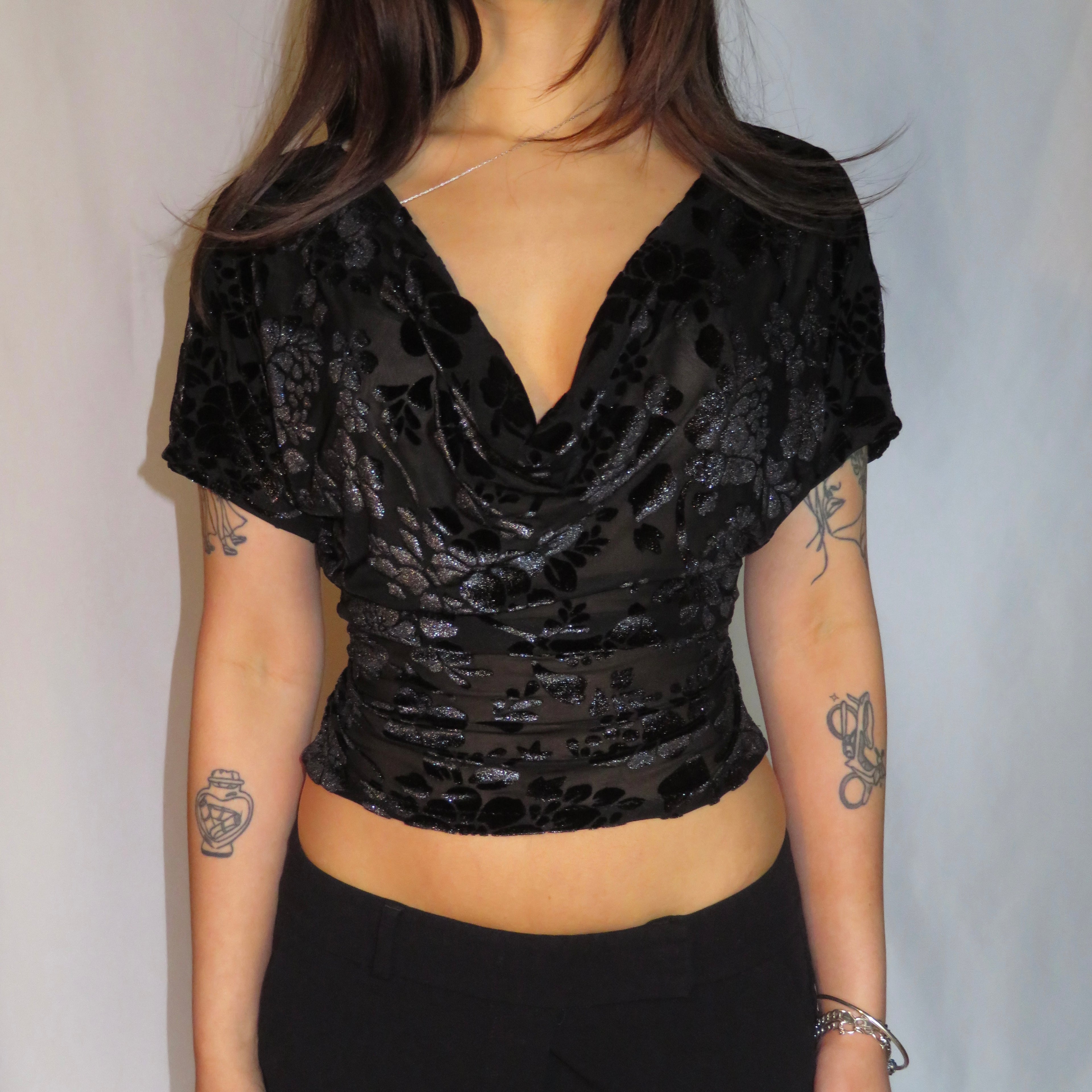 Suzy Sheer Velvet Top