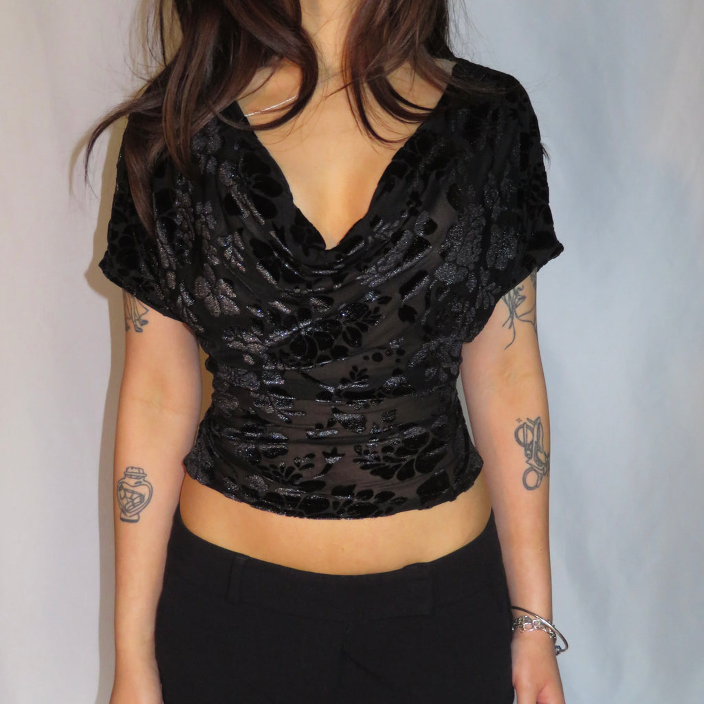 Suzy Sheer Velvet Top